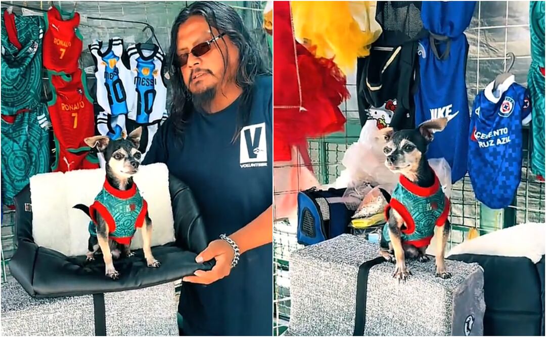 Un perrito viral es nombrado empleado del mes en redes por ayudar a su dueño en un local para mascotas. Foto: TikTok