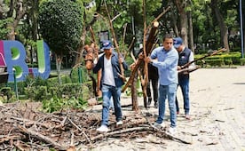 Realizan jornada integral en Parque Pascual Ortiz Rubio, en Benito Juárez