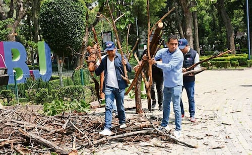 Realizan jornada integral en Parque Pascual Ortiz Rubio, en Benito Juárez