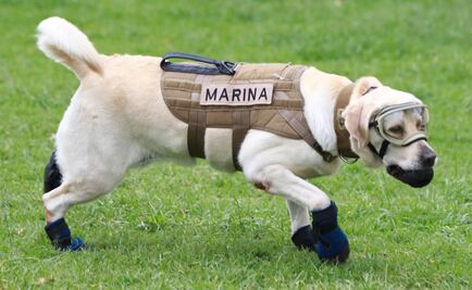 Twitter crea emoji de #TodosSomosFrida