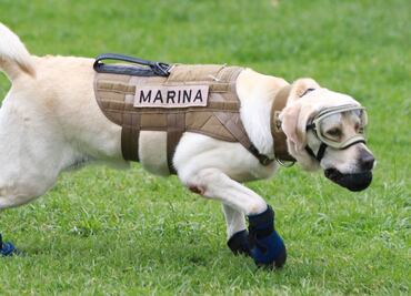 Twitter crea emoji de #TodosSomosFrida