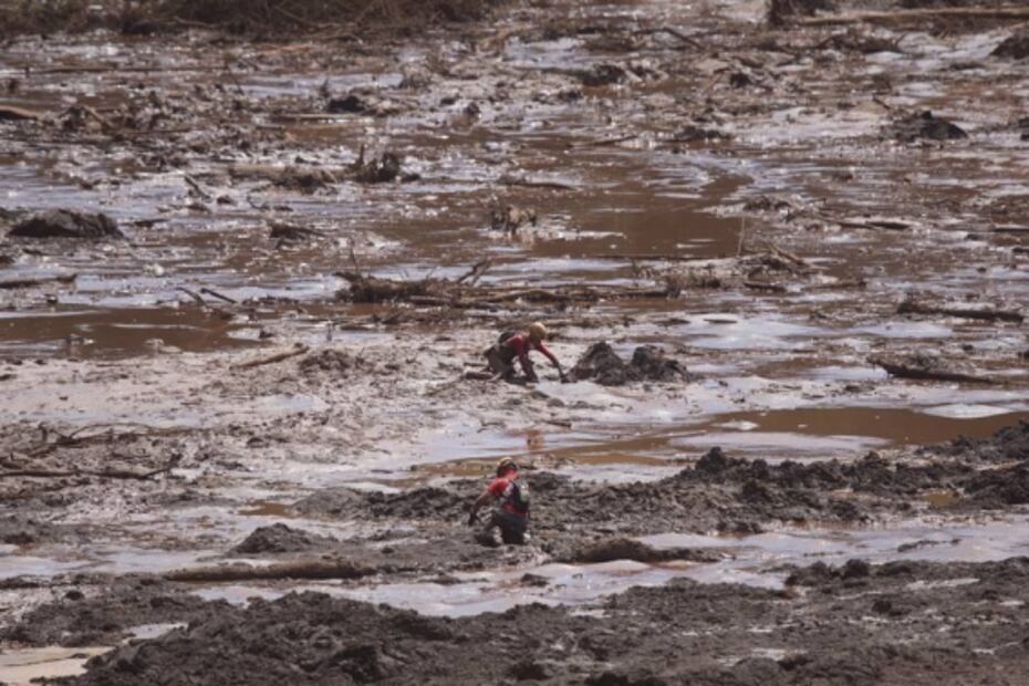 El año de América Latina en imágenes