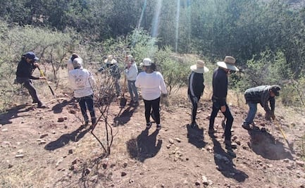 En los últimos 20 días, colectivo halla al menos 20 cuerpos en fosas clandestinas en Nogales, Sonora