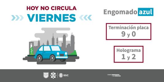 ¿Qué autos no circulan este viernes 17 de noviembre 2023?