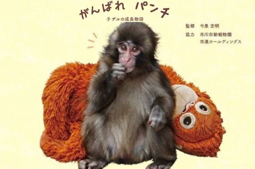 A lo largo de 48 páginas, incluirá fotografías seleccionadas entre más de 10 mil tomadas por sus cuidadores. Foto: Zoológico de Ichikawa