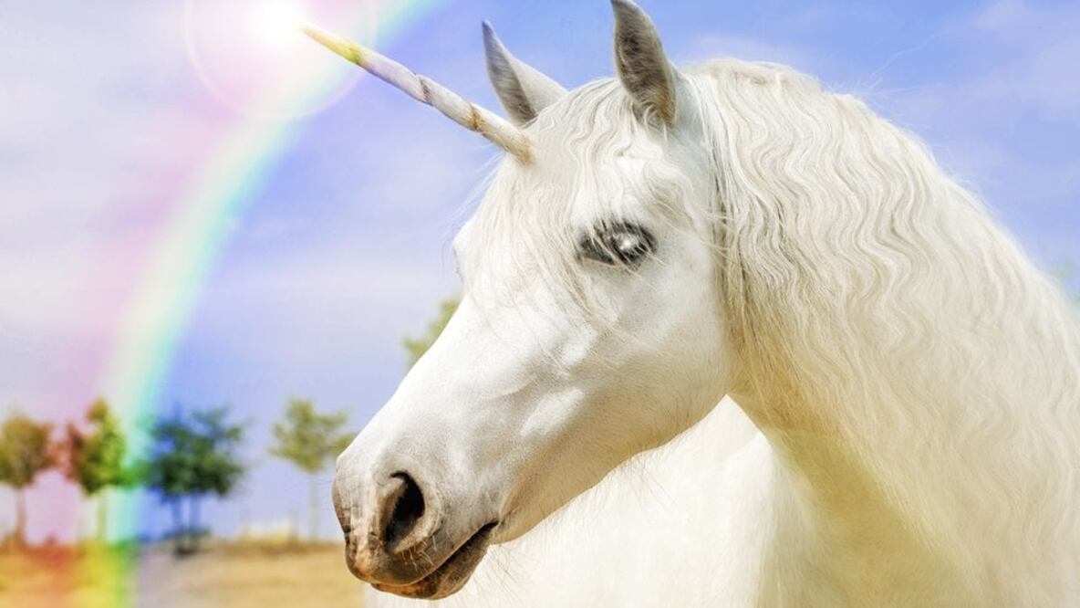 La connotación de pureza puede explicar por qué el unicornio suele ser de color blanco. Getty Images