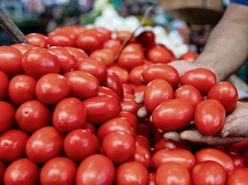 Por aranceles, bajan 11% precios del jitomate saladet en México; suben hasta 10% en EU