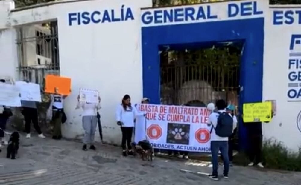 En los últimos meses, el maltrato animal ha ido en aumento, de acuerdo a las denuncias en las redes sociales.
Foto: Especial.