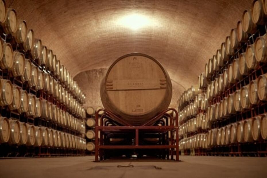 Tours y degustaciones de vino imperdibles en Querétaro