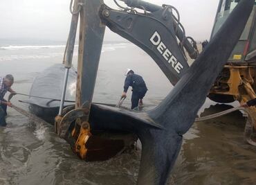 Acuicultura: una actividad estratégica contra el hambre