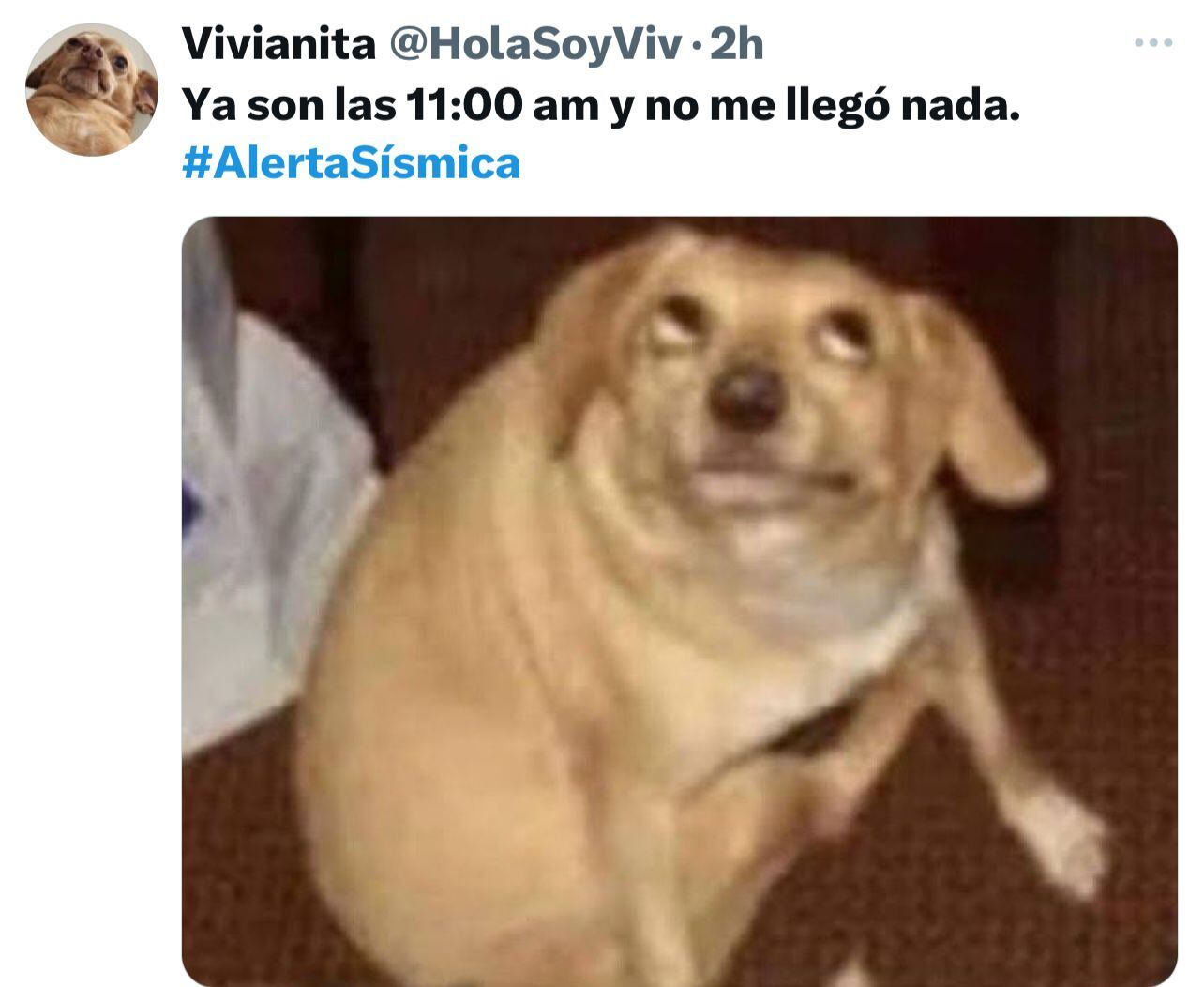 Los mejores memes que dejó la falla del nuevo sistema de alerta sísmica. Foto: Captura de pantalla