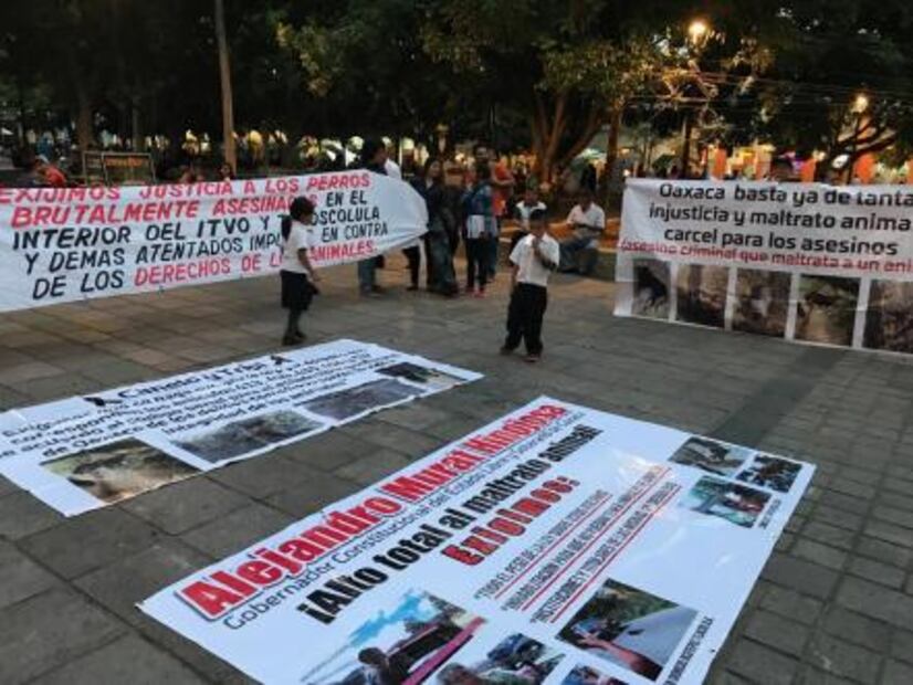 Arrastra taxista a un perro; familia lo salva