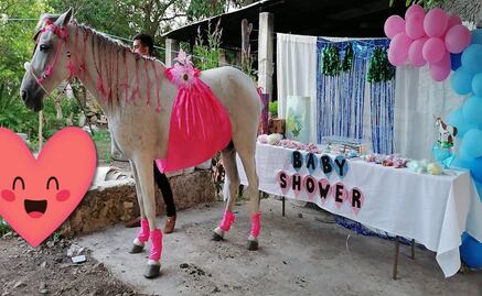 Baby shower a una yegua en Yucatán se hace viral