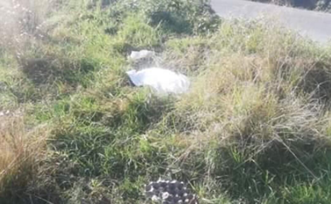 El cuerpo de la menor fue encontrado a unos metros del bulevar a Cuatro Vientos. La pequeña estaba tendida boca arriba. Fotografía: Especial