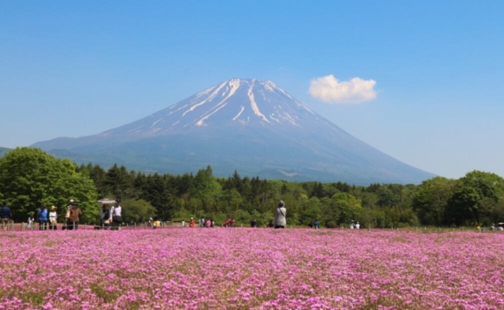 13 cosas que no sabías sobre el Monte Fuji