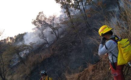 Reportan siete incendios activos en Oaxaca