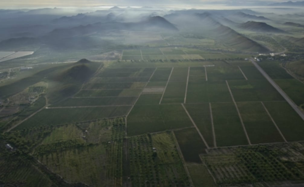 Qué hacer en el Pueblo Mágico de Parras