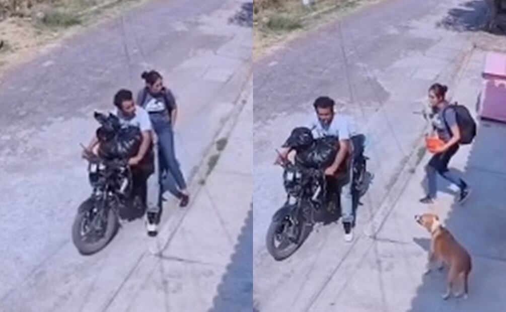 Ladrones dejan sin alimentos a perritos. Fuente: Facebook @cuautlaweb.mx