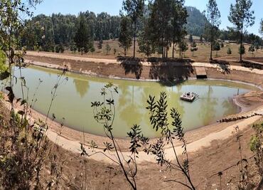 Aseguran presas y vehículos en Valle de Bravo; investigan daño ambiental en zona protegida