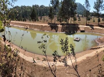 Aseguran presas y vehículos en Valle de Bravo; investigan daño ambiental en zona protegida