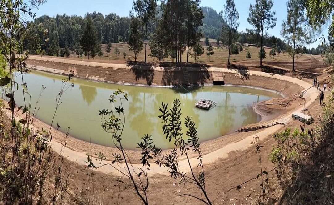 Aseguran presas y vehículos en Valle de Bravo; investigan daño ambiental en zona protegida. Foto: Especial