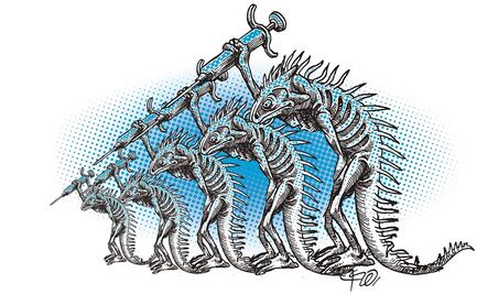 Los embudos en el plan de vacunación