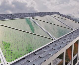 Golpe a tratados internacionales: analistas