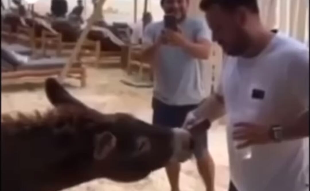 Foto: Captura de pantalla