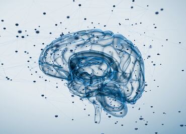 El cerebro tiene una función integrada y no separada como se creía: Estudio