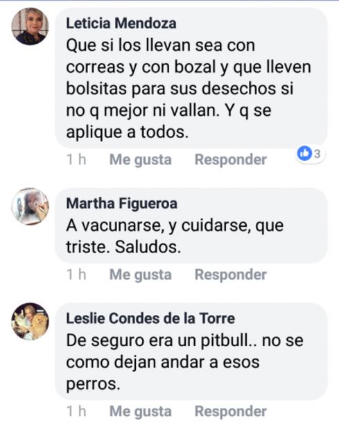 Perro ataca a mujer en el malecón de La Paz, Baja California Sur