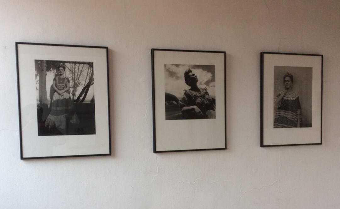 Foto: Twitter Casa Estudio Diego