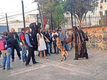 Tarde de perros... y 5 mil pesos