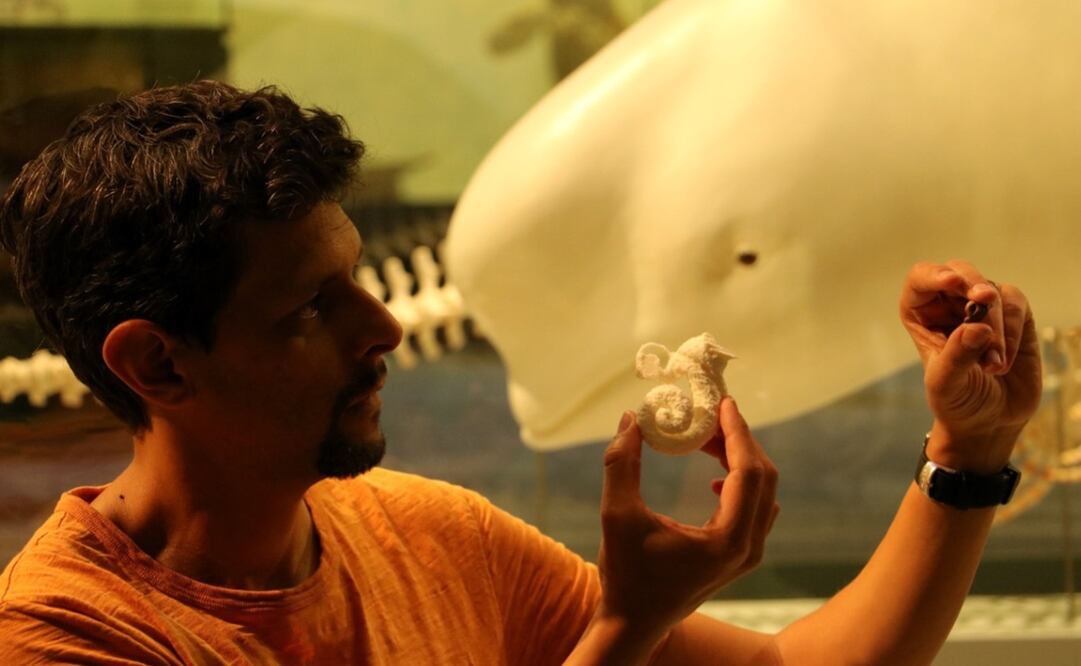 Foto: Vía Universidad de Zúrich 