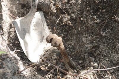 Vecinos de Carrizalillo salen a ‘cazar fosas’