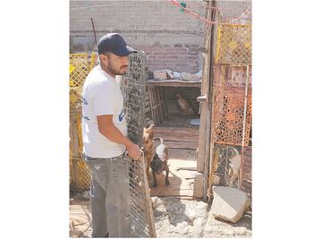 Daniel, el guardián de los animales abandonados