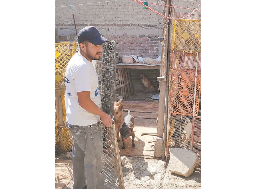 Hogar. Daniel Mares, de 35 años, ha convertido el lugar donde vive, en la colonia Media Luna, en un santuario de animales que rescata de las calles de Ecatepec y Nezahualcóyotl. Foto: EMILIO FERNÁNDEZ. EL UNIVERSAL
