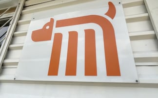 Centro de Transferencia Canina del Metro reitera llamado a adoptar; 49 lomitos esperan encontrar familia    