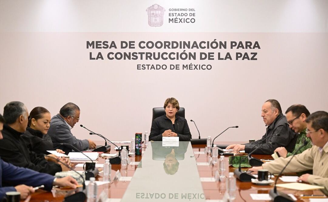 La gobernadora del Estado de México llevará a cabo reuniones para evitar que el número de incendios forestales sigan incrementando. Foto: Especial