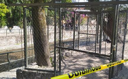 Localizan cuerpo de recién nacida a orillas del río Orizaba