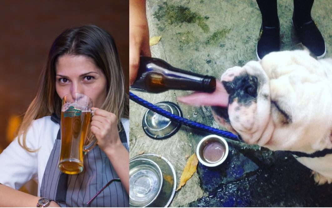 Le puedes festejar su cumpleaños con un pastel de carne y su cerveza sin alcohol. Crédito: Pixabay / instagram.com/dog_and_roll_