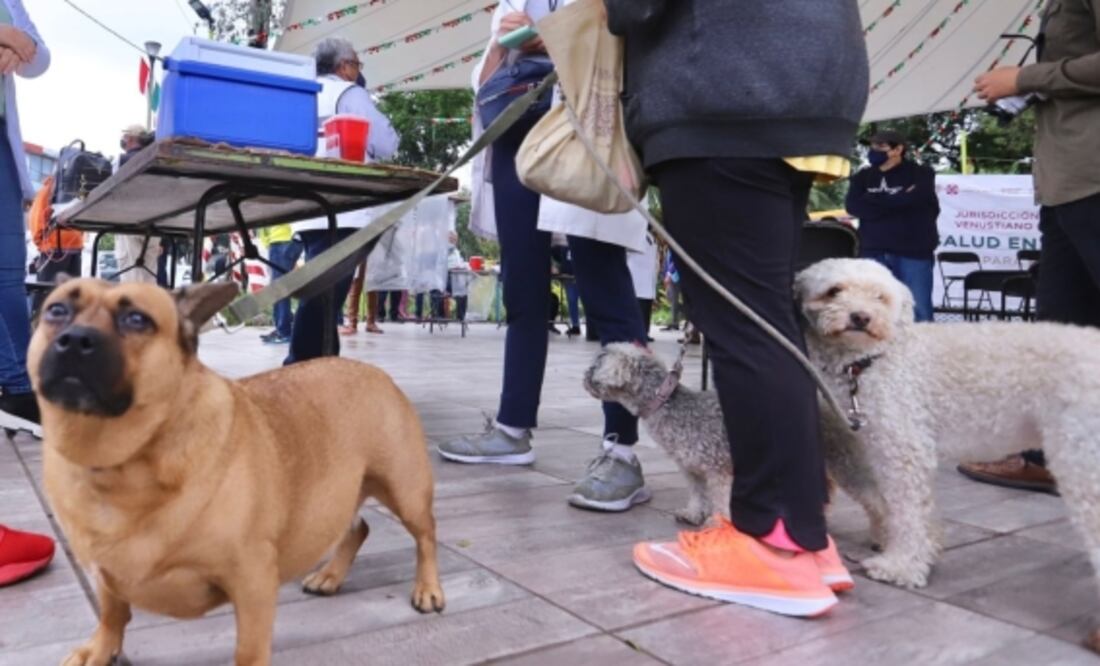 Foto: Especial / Archivo