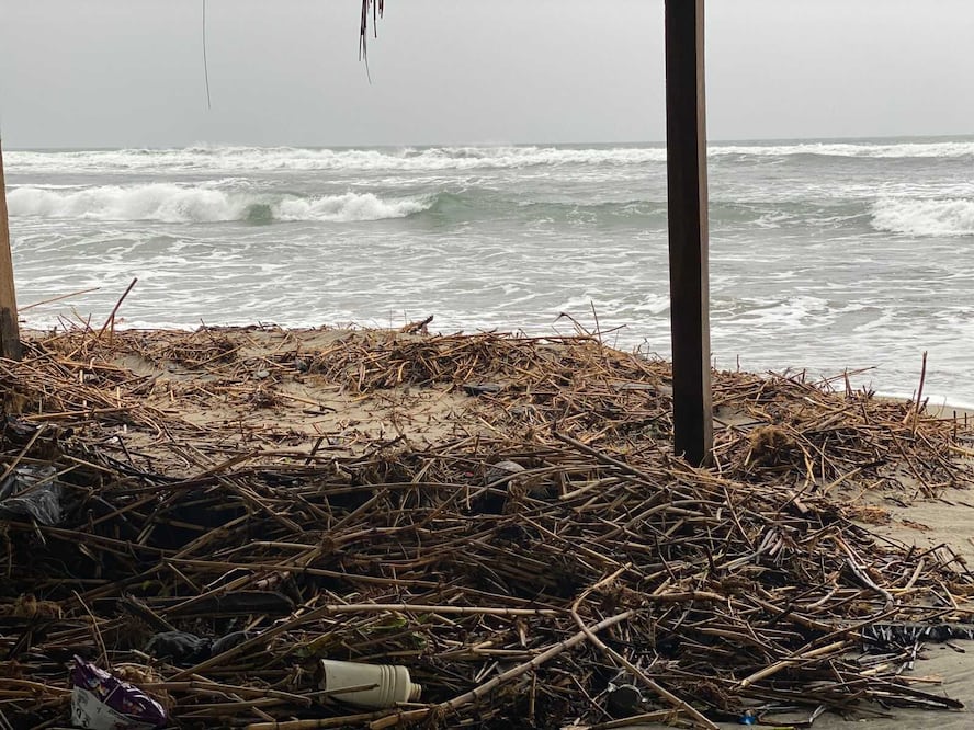 Foto: Carlos Arrieta EL UNIVERSAL