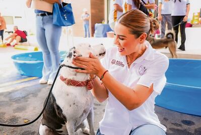 Estado, a la vanguardia en protección de los animales