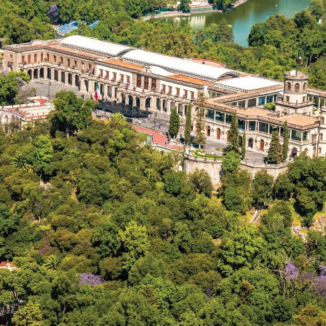 La Sedema indicó que los costos fueron determinados para cada árbol y para cada subzona y zona de la primera sección del Bosque de Chapultepec. Foto: Archivo / EL UNIVERSAL.