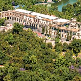 Crean mapa de árboles del Bosque de Chapultepec