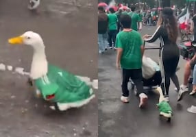 "El pato mudialista" se sumó a los festejos en el Ángel de la Independencia; "Merlyn" causa furor en redes sociales