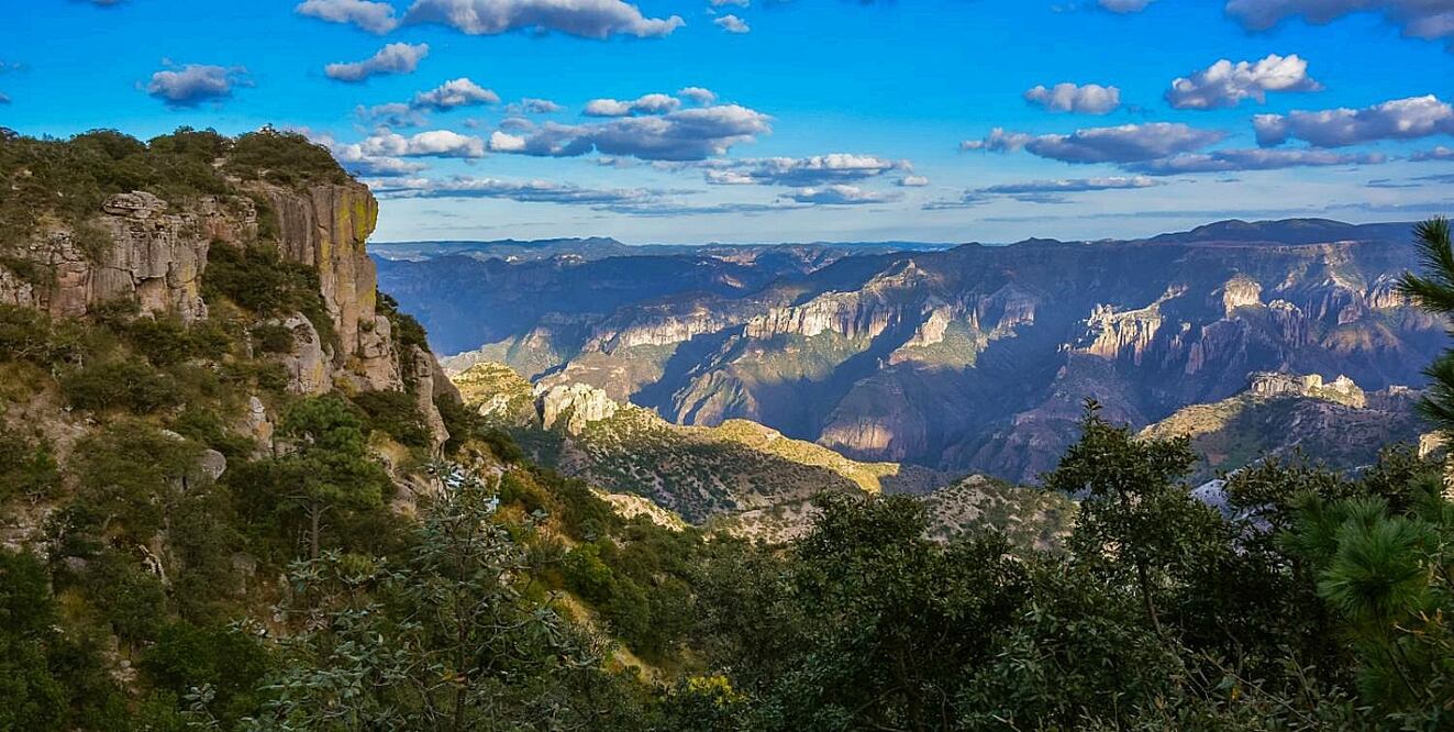 El servicio del Chepe estuvo suspendido durante cuatro meses. Foto: Istock