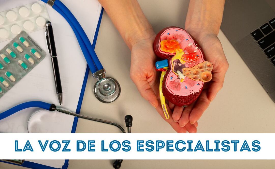 Este jueves 13 de marzo se celebra el Día Mundial del Riñón. Foto: Especial