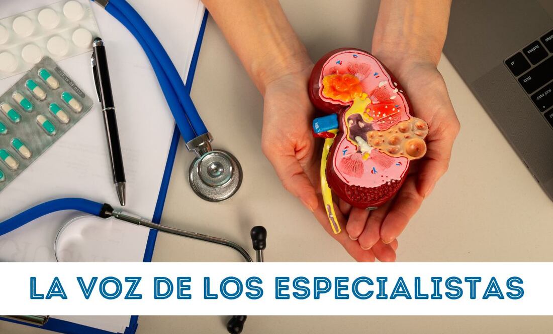 Este jueves 13 de marzo se celebra el Día Mundial del Riñón. Foto: Especial