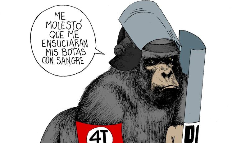 Cartón de KEMCHS